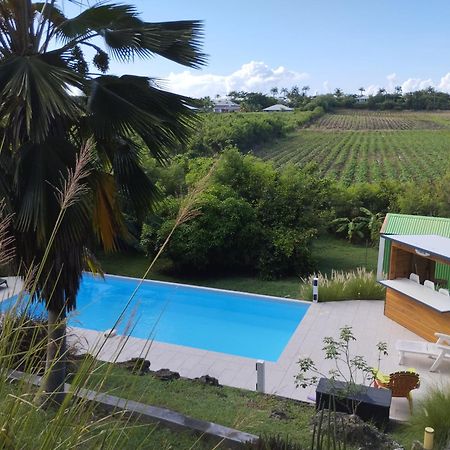 T2 Jardin Clos Les Nids De La Colline Saint-Francois  Luaran gambar