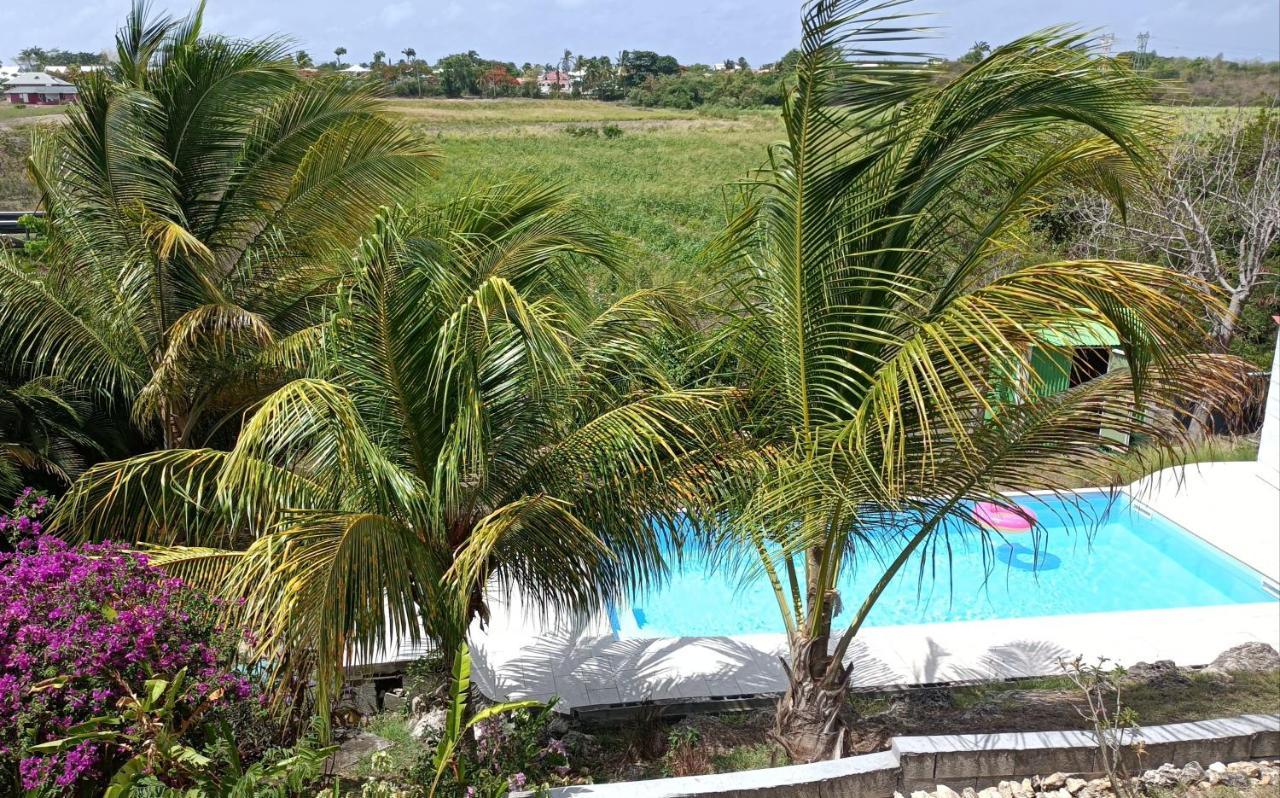 T2 Jardin Clos Les Nids De La Colline Saint-Francois  Luaran gambar