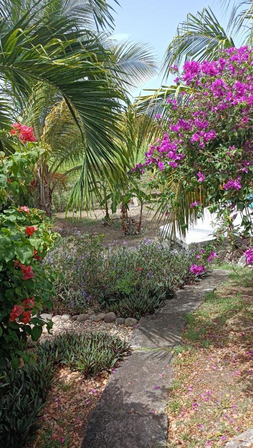 T2 Jardin Clos Les Nids De La Colline Saint-Francois  Luaran gambar